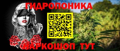 дурь Гатчина