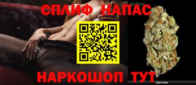 метадон Гай
