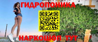 индика Гусь-Хрустальный