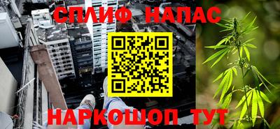дурь Гатчина