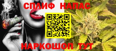 индика Гусь-Хрустальный